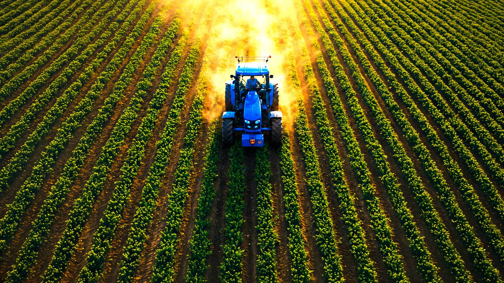 Excelência operacional no campo: como uma grande operação agrícola aumentou produtividade no abastecimento de matéria-prima